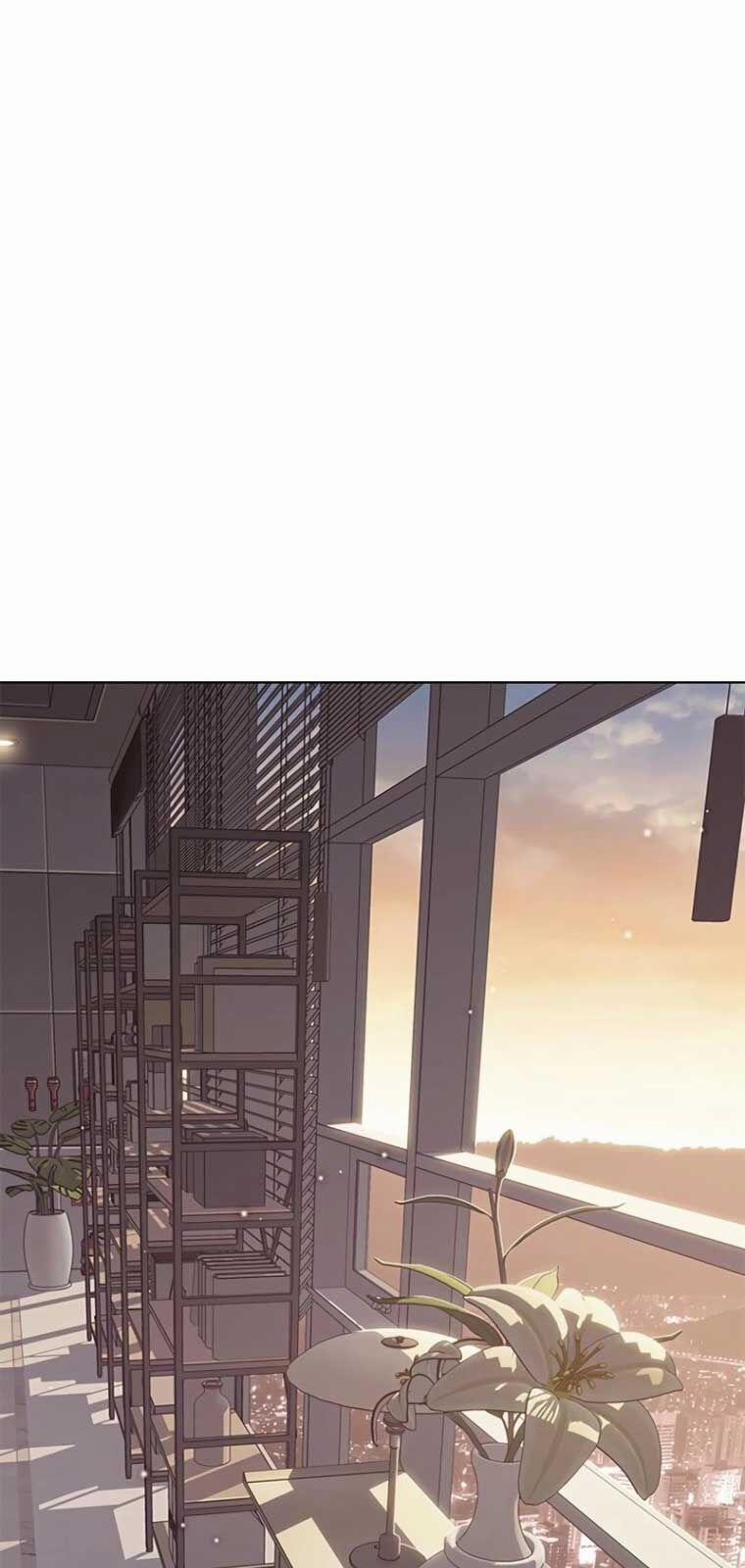 Hóa Thân Thành Mèo 342 trang 20