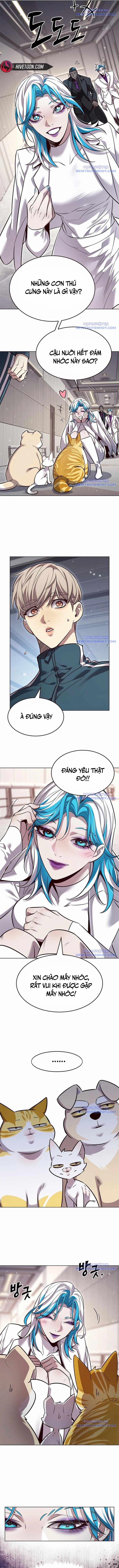 Hóa Thân Thành Mèo 343 trang 3