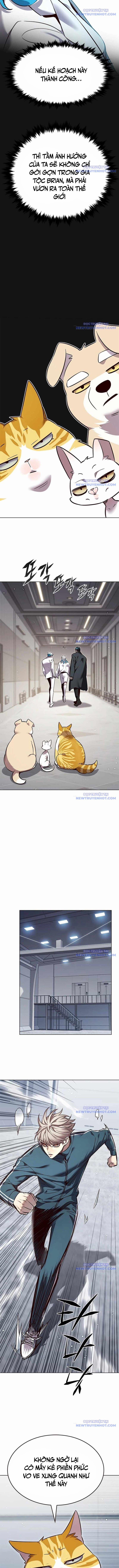 Hóa Thân Thành Mèo 343 trang 8