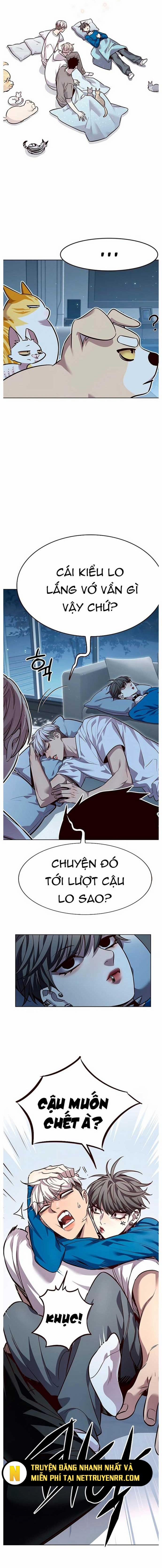 Hóa Thân Thành Mèo 345 trang 8