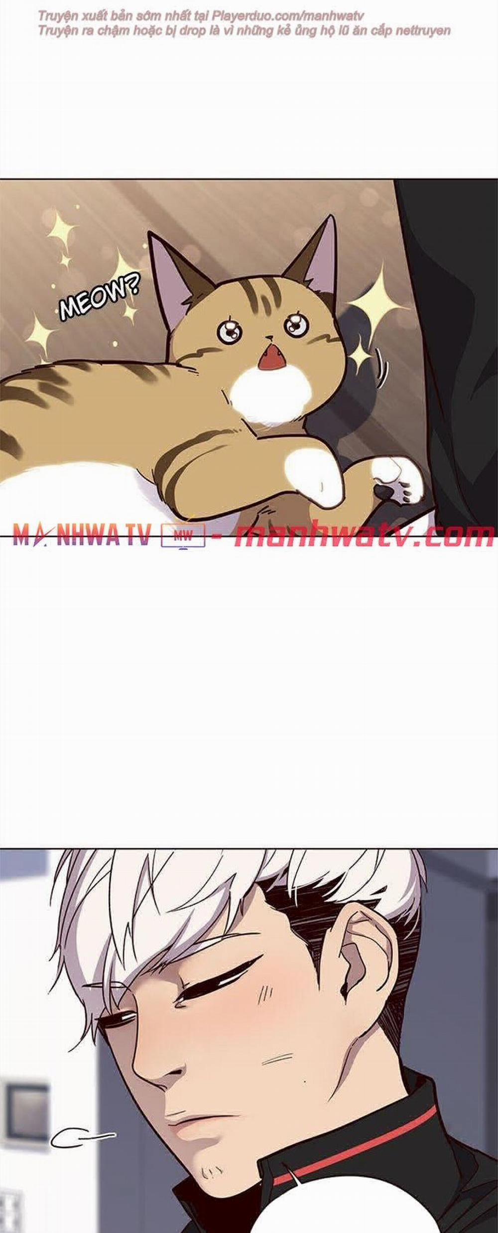 Hóa Thân Thành Mèo 35 trang 10