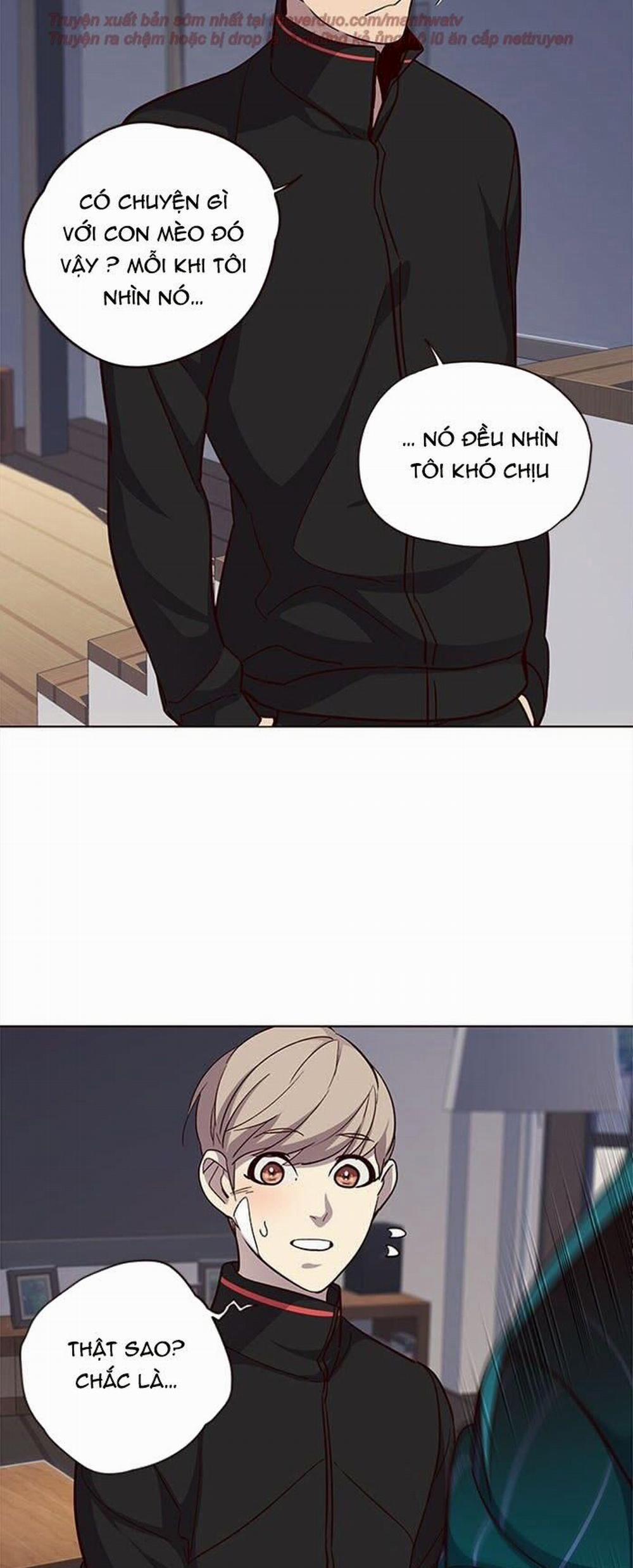 Hóa Thân Thành Mèo 35 trang 14