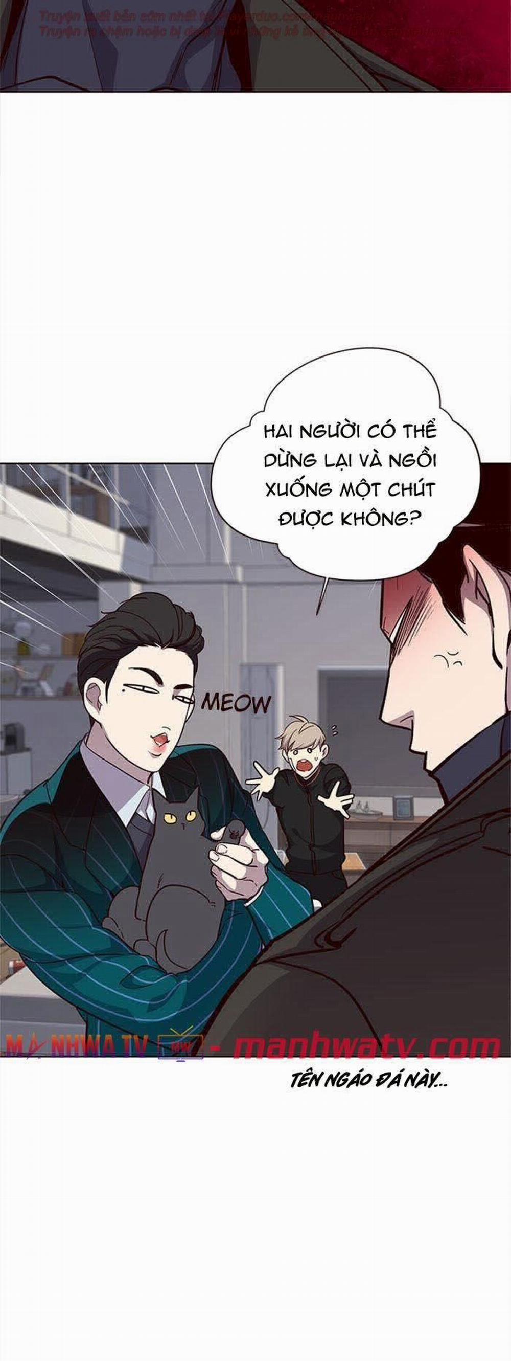 Hóa Thân Thành Mèo 35 trang 28