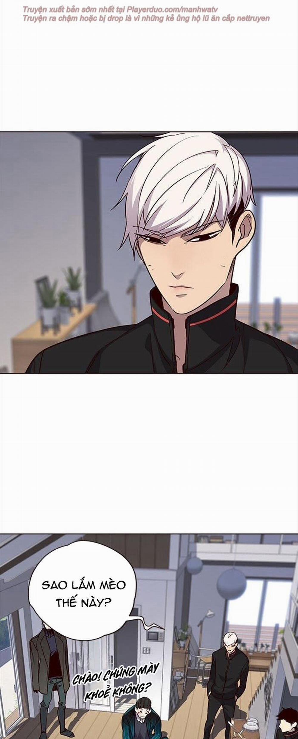 Hóa Thân Thành Mèo 35 trang 4