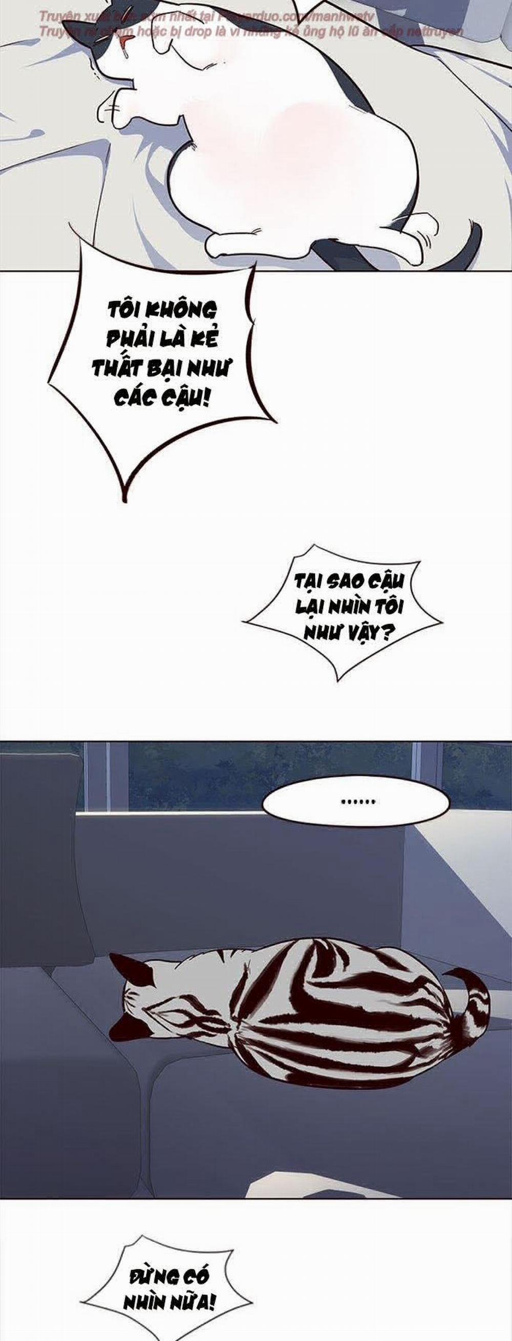 Hóa Thân Thành Mèo 35 trang 53