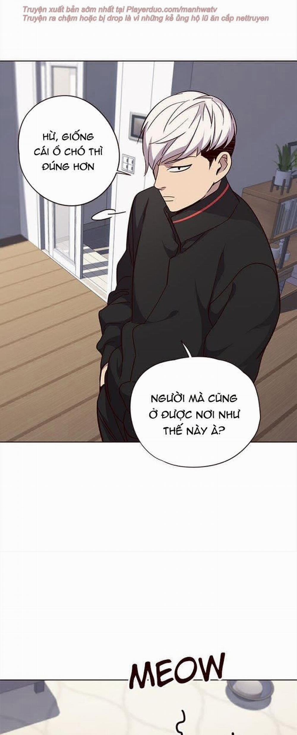 Hóa Thân Thành Mèo 35 trang 8