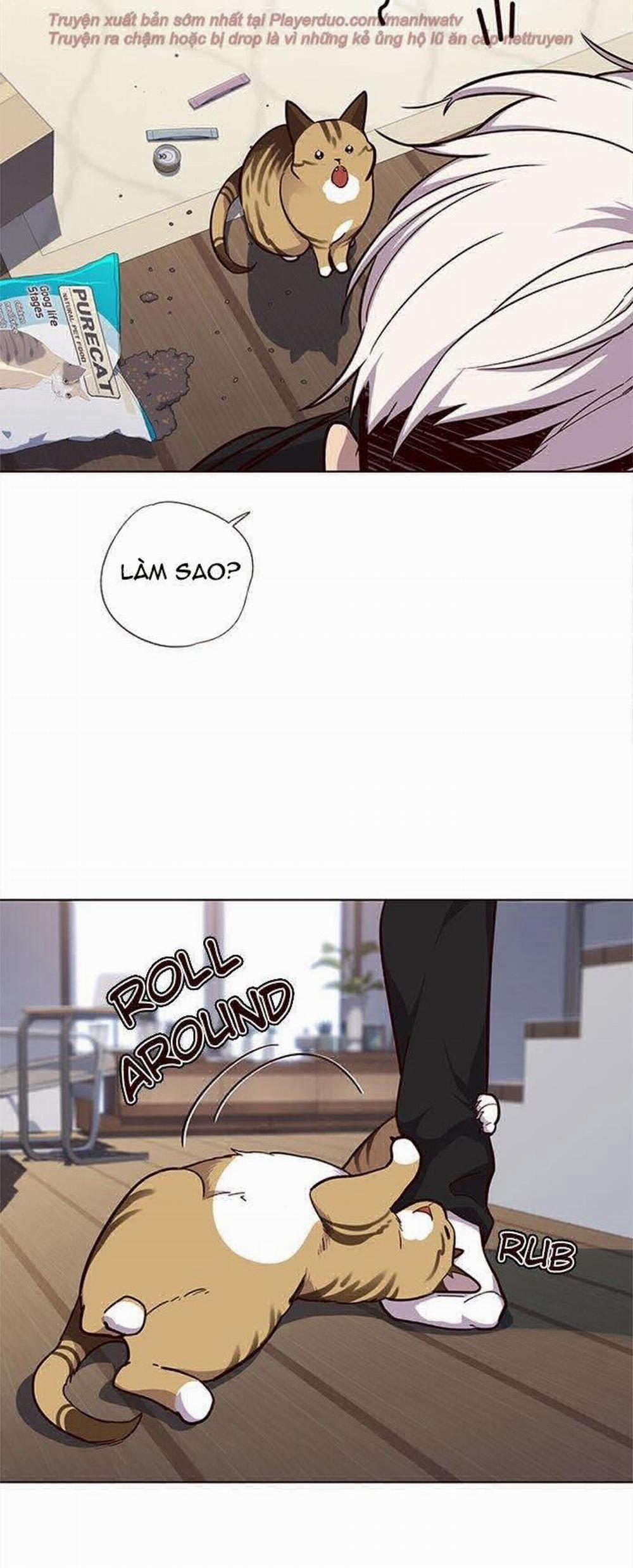 Hóa Thân Thành Mèo 35 trang 9