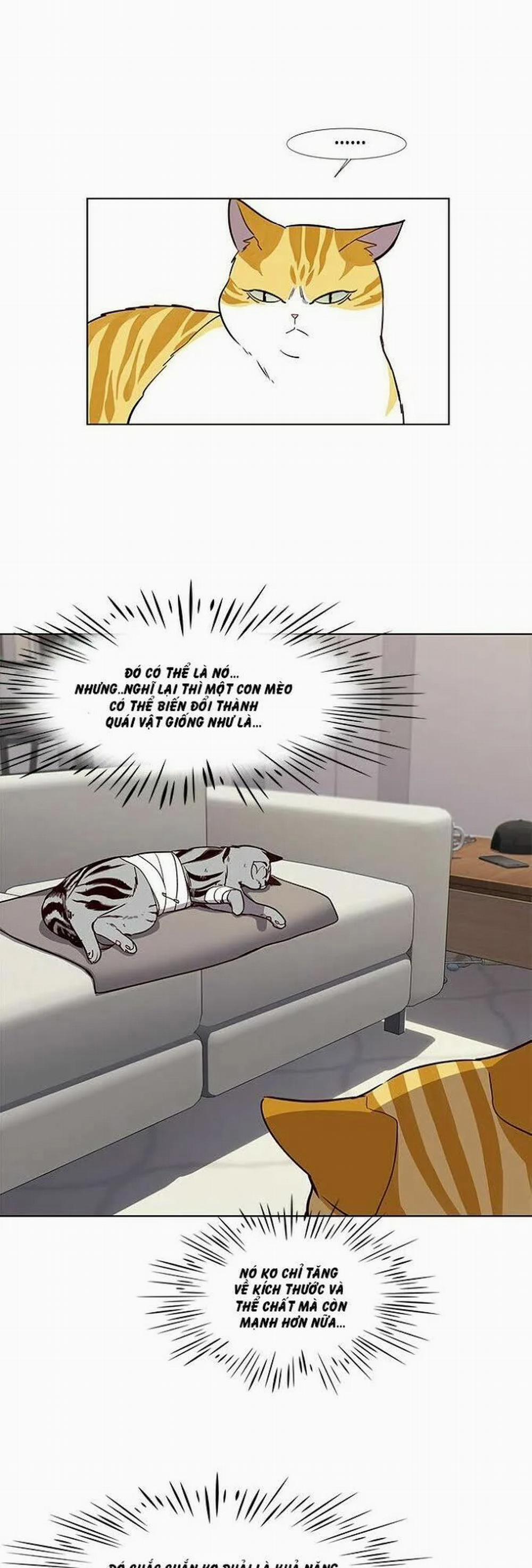 Hóa Thân Thành Mèo 4 trang 10