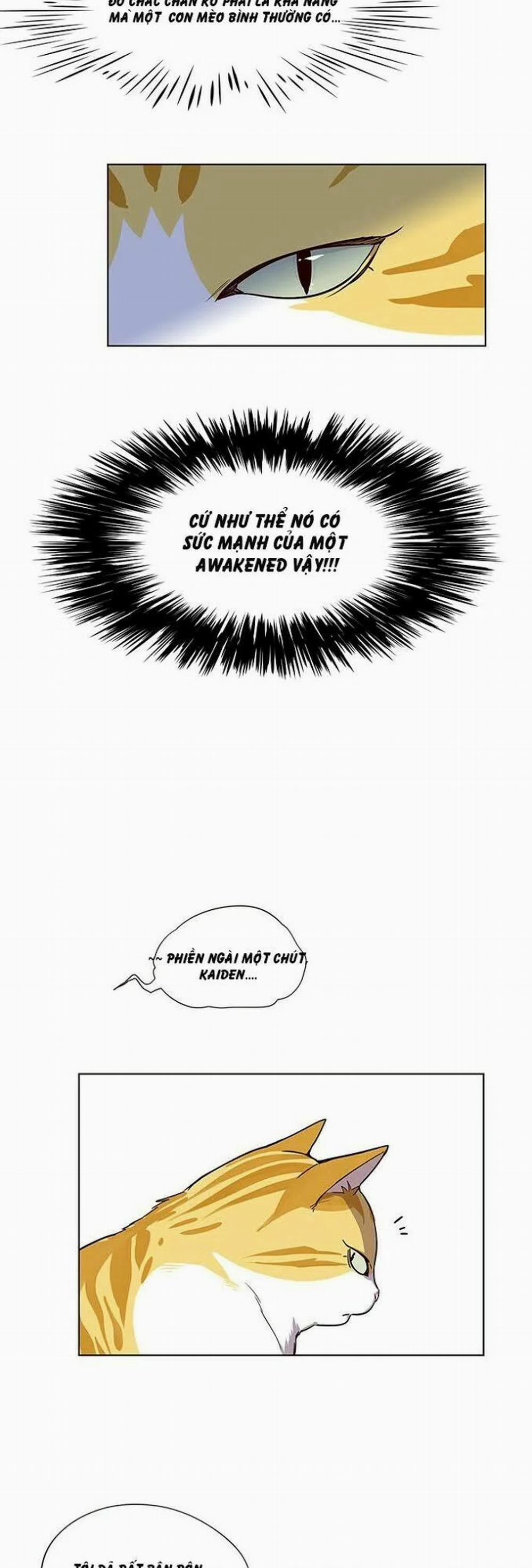 Hóa Thân Thành Mèo 4 trang 11