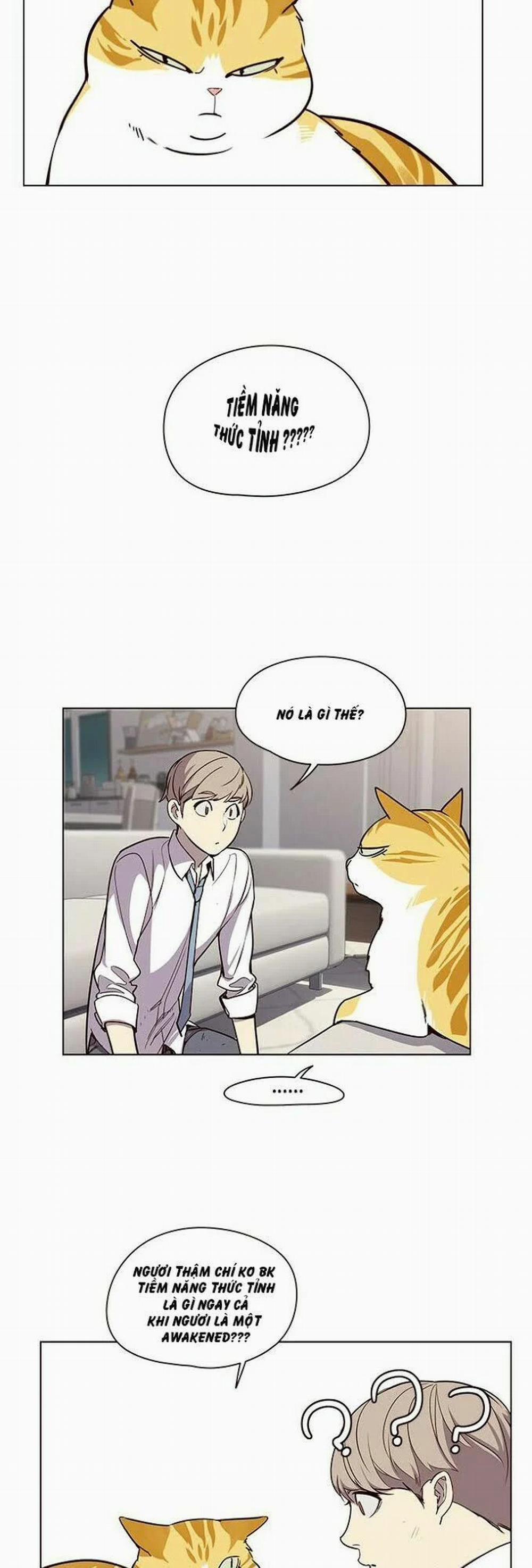 Hóa Thân Thành Mèo 4 trang 14