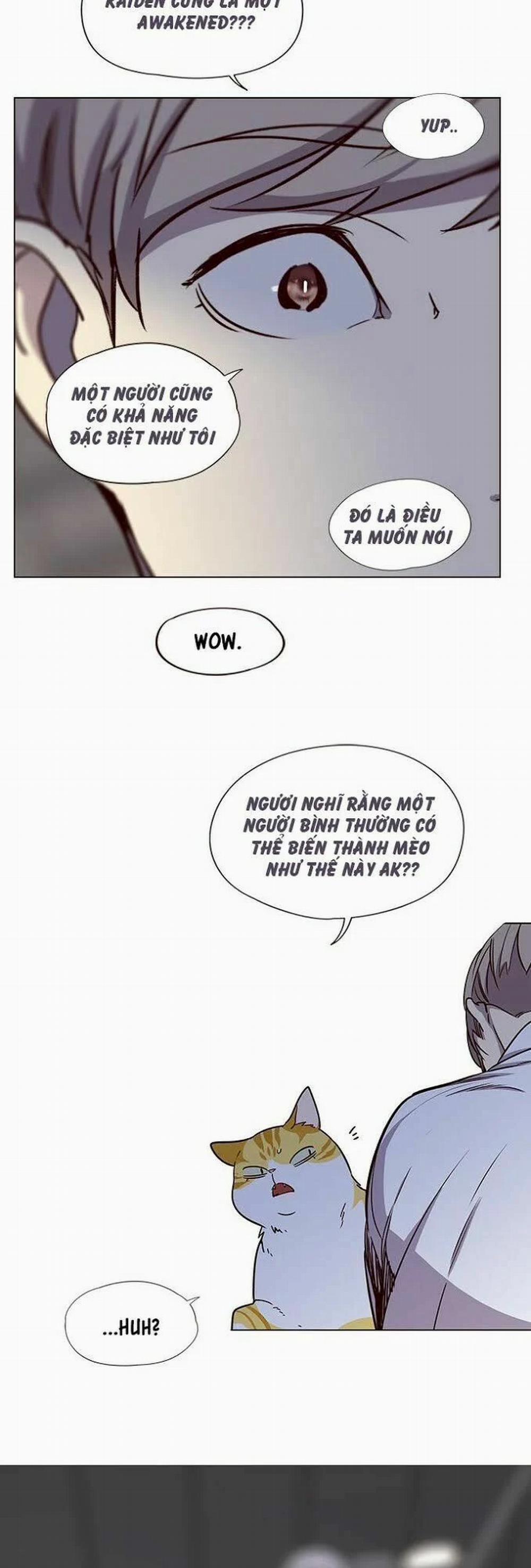 Hóa Thân Thành Mèo 4 trang 19