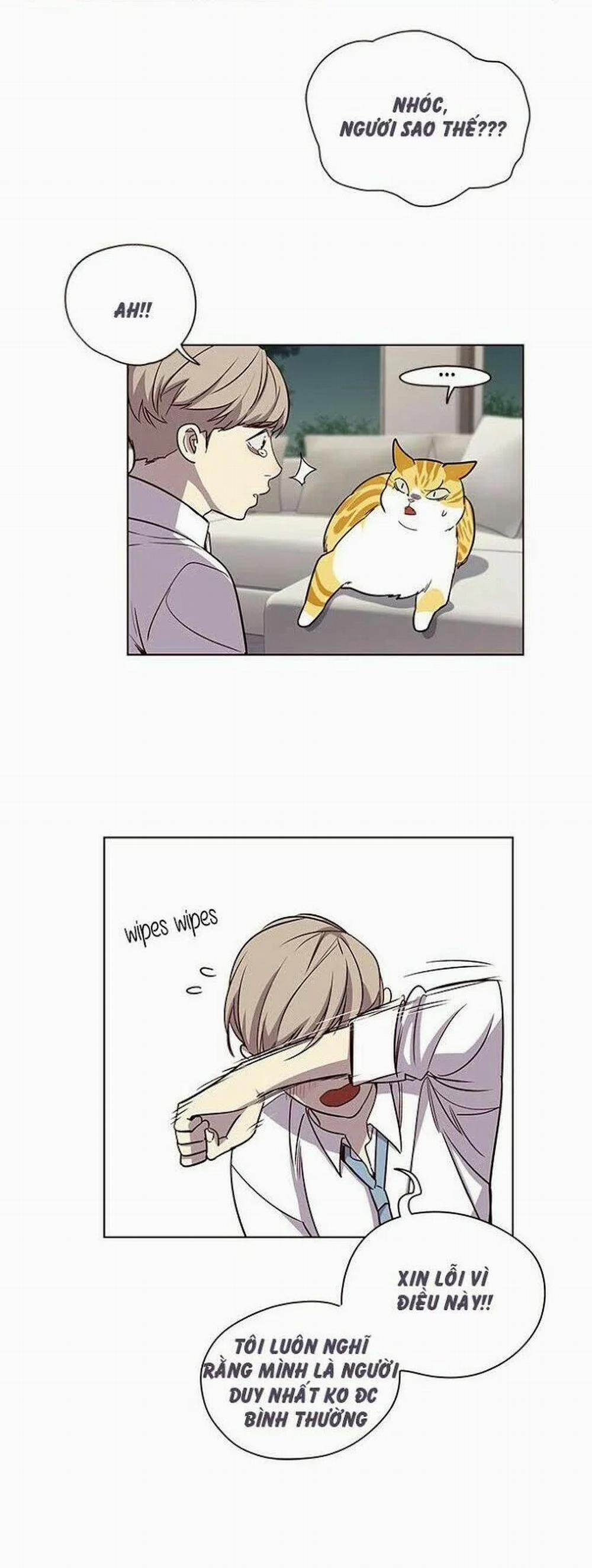 Hóa Thân Thành Mèo 4 trang 21