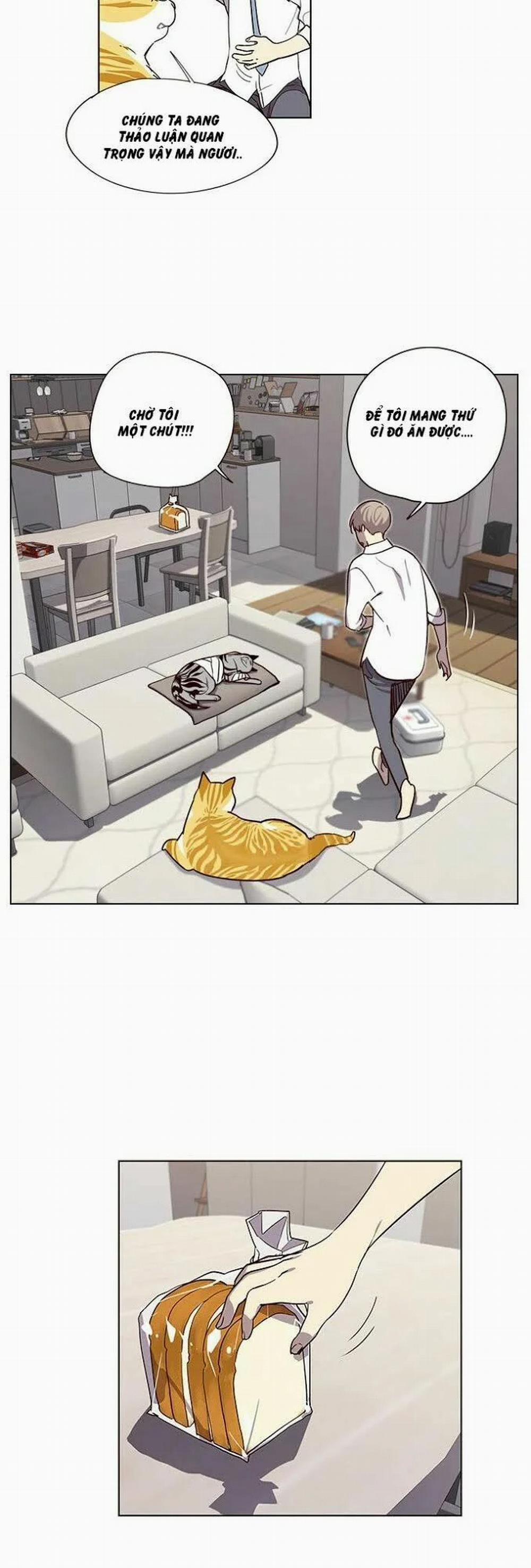 Hóa Thân Thành Mèo 4 trang 31