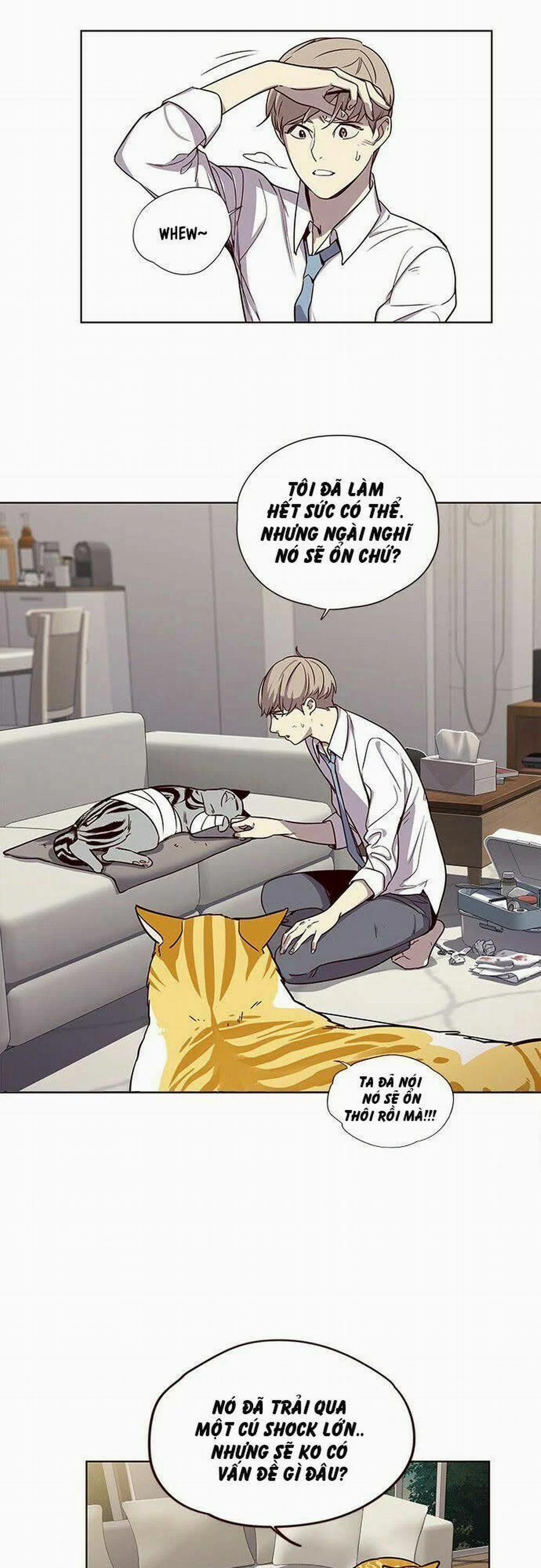 Hóa Thân Thành Mèo 4 trang 7