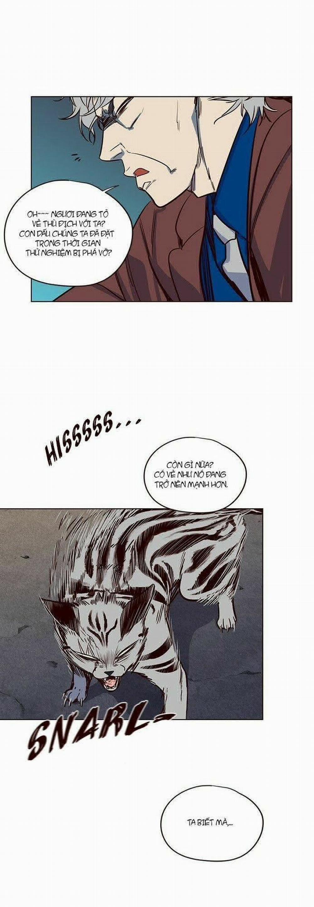 Hóa Thân Thành Mèo 5 trang 14