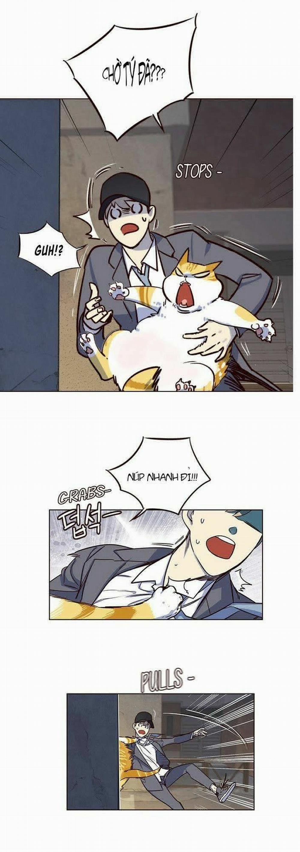 Hóa Thân Thành Mèo 5 trang 17