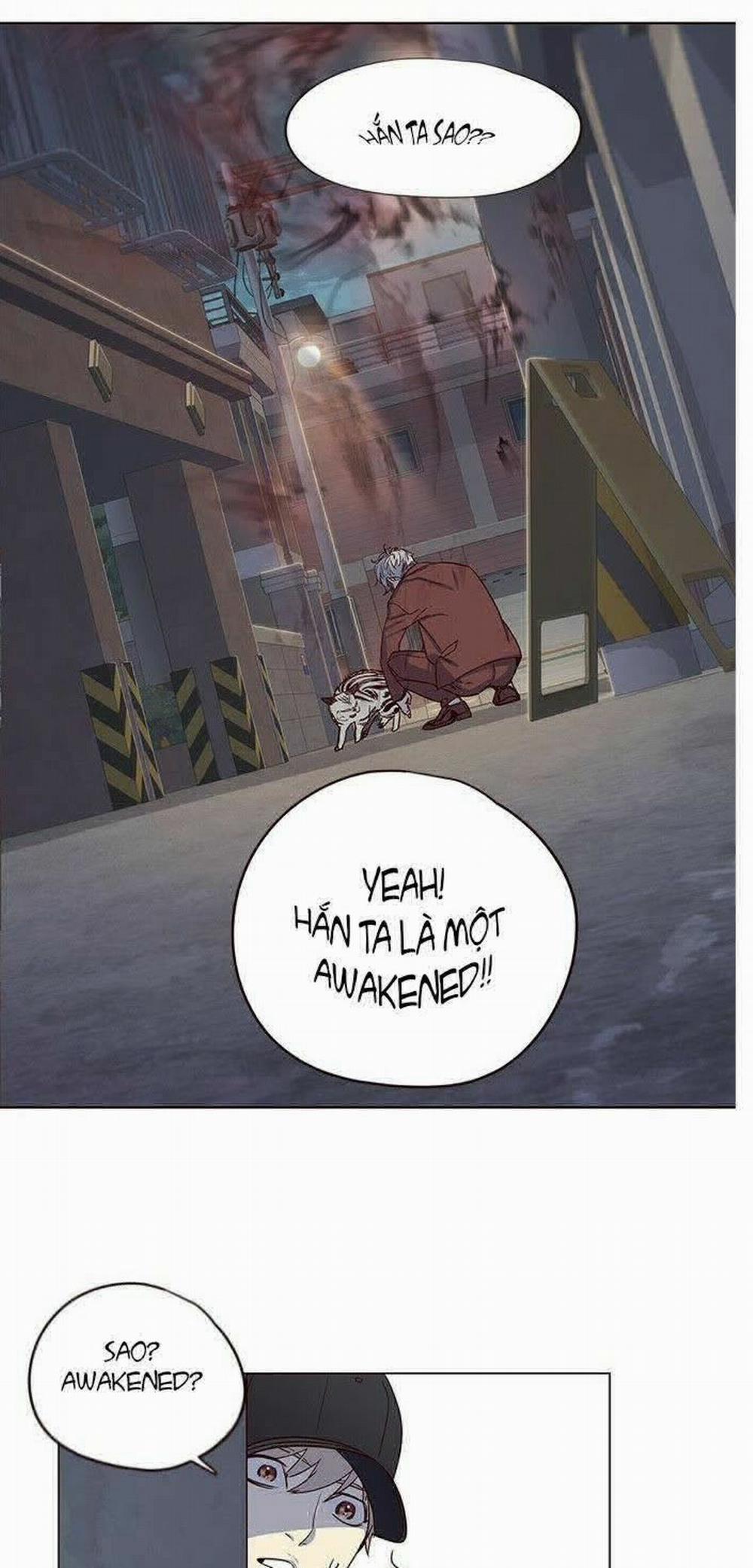 Hóa Thân Thành Mèo 5 trang 19