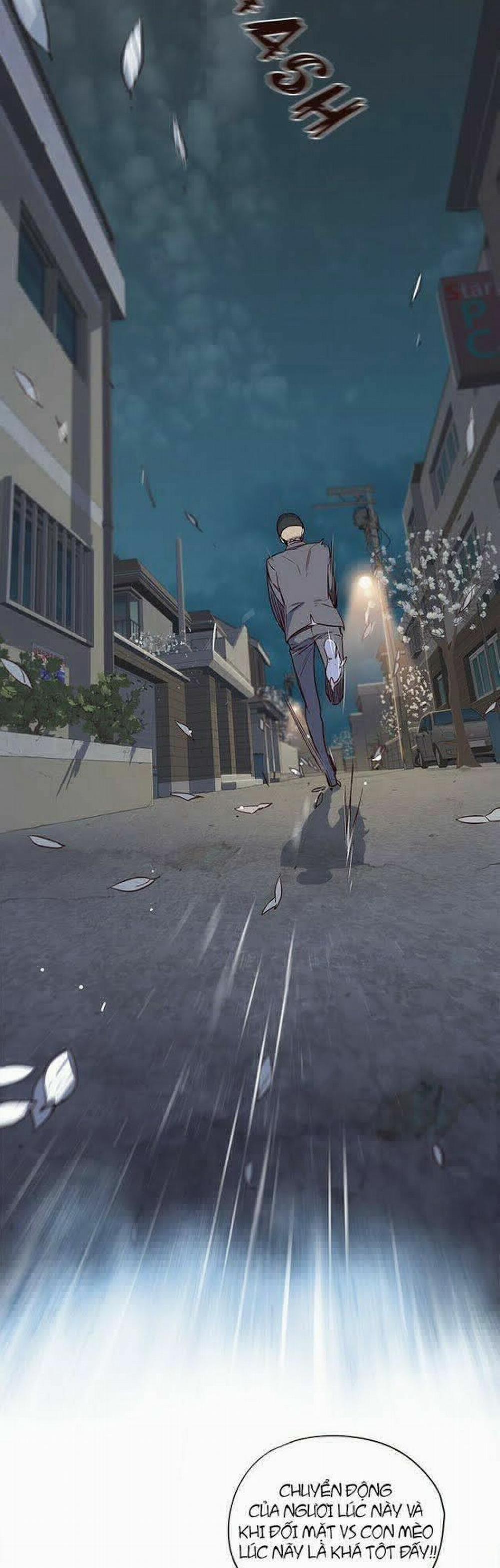 Hóa Thân Thành Mèo 5 trang 2