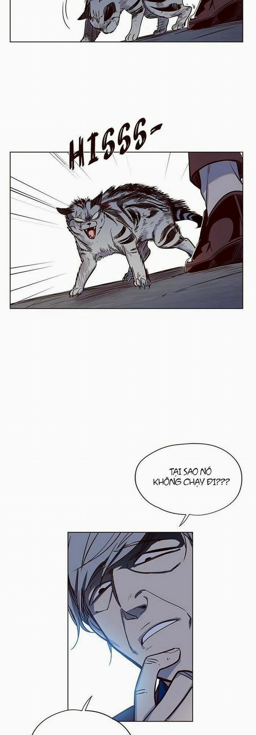 Hóa Thân Thành Mèo 5 trang 37
