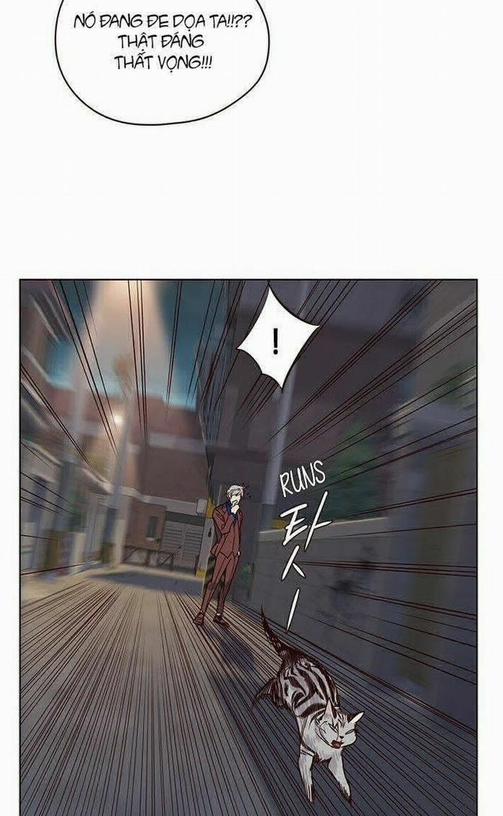 Hóa Thân Thành Mèo 5 trang 38