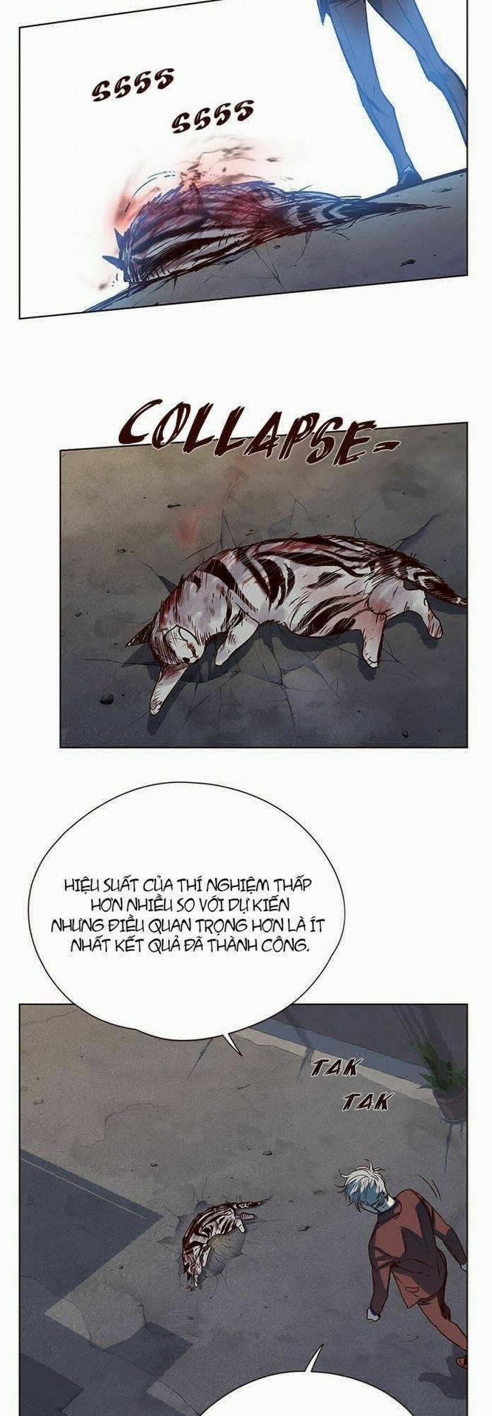 Hóa Thân Thành Mèo 5 trang 41