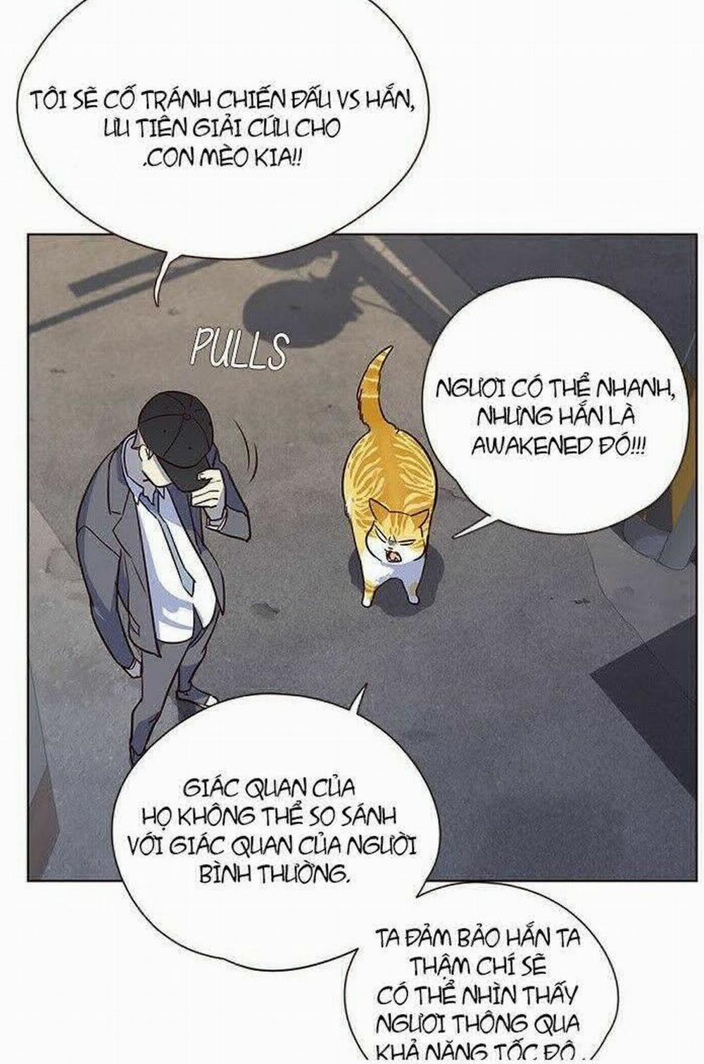 Hóa Thân Thành Mèo 5 trang 44