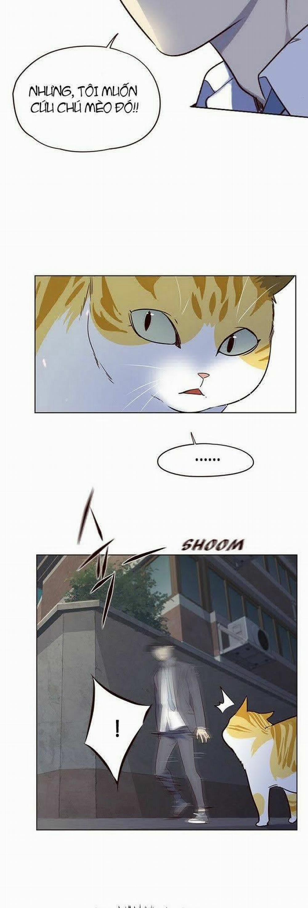 Hóa Thân Thành Mèo 5 trang 46