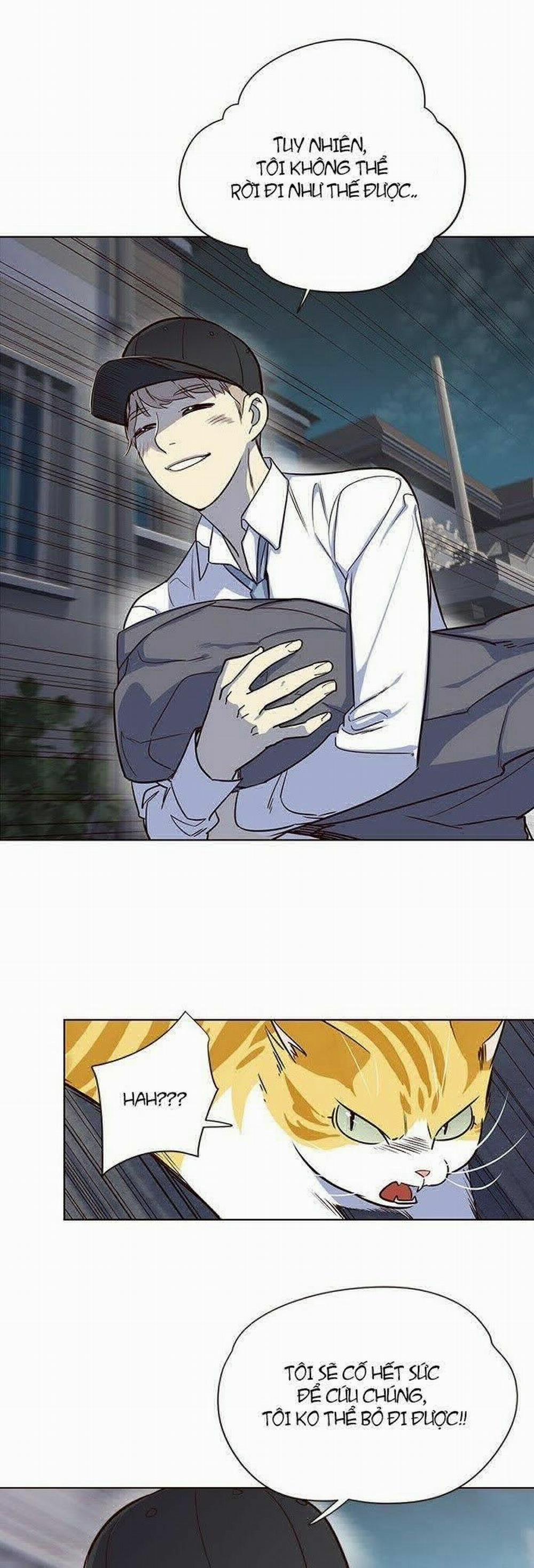 Hóa Thân Thành Mèo 5 trang 58