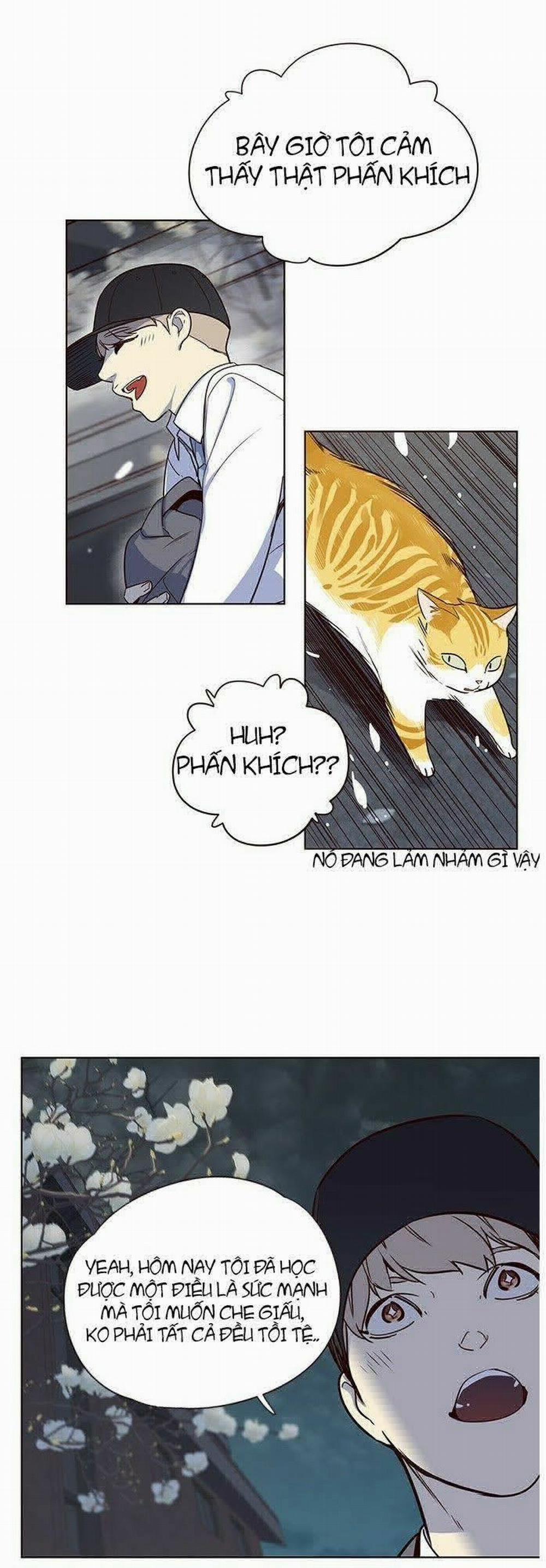 Hóa Thân Thành Mèo 5 trang 62