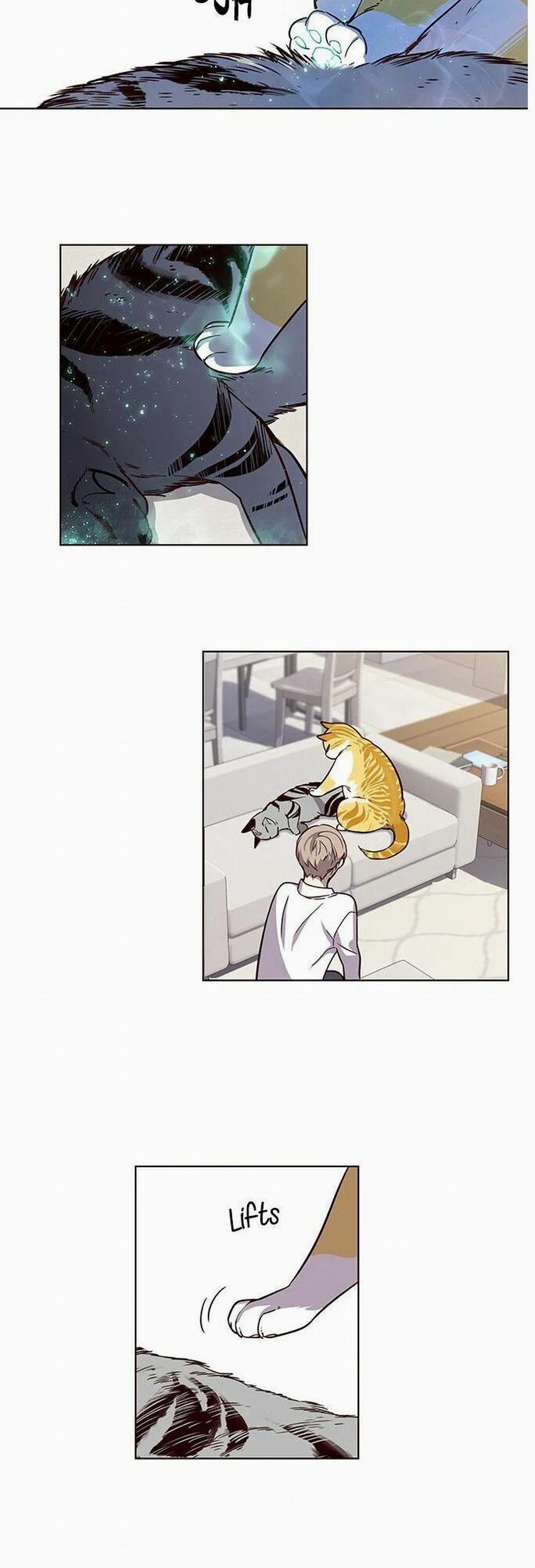 Hóa Thân Thành Mèo 6 trang 1