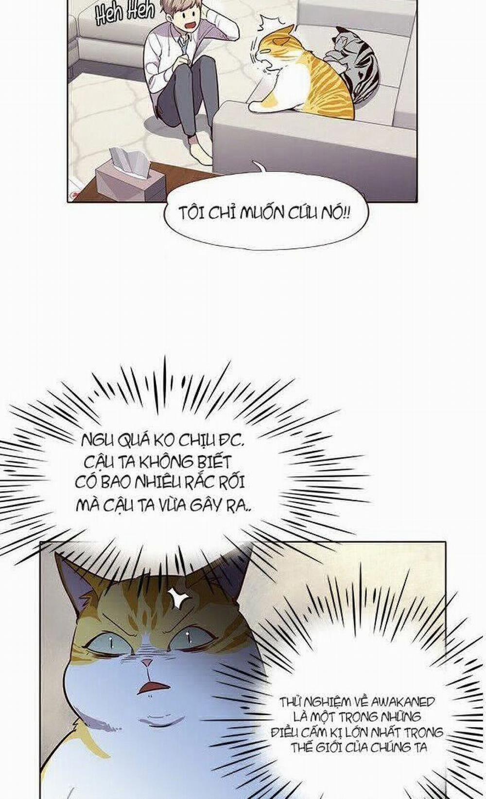 Hóa Thân Thành Mèo 6 trang 11