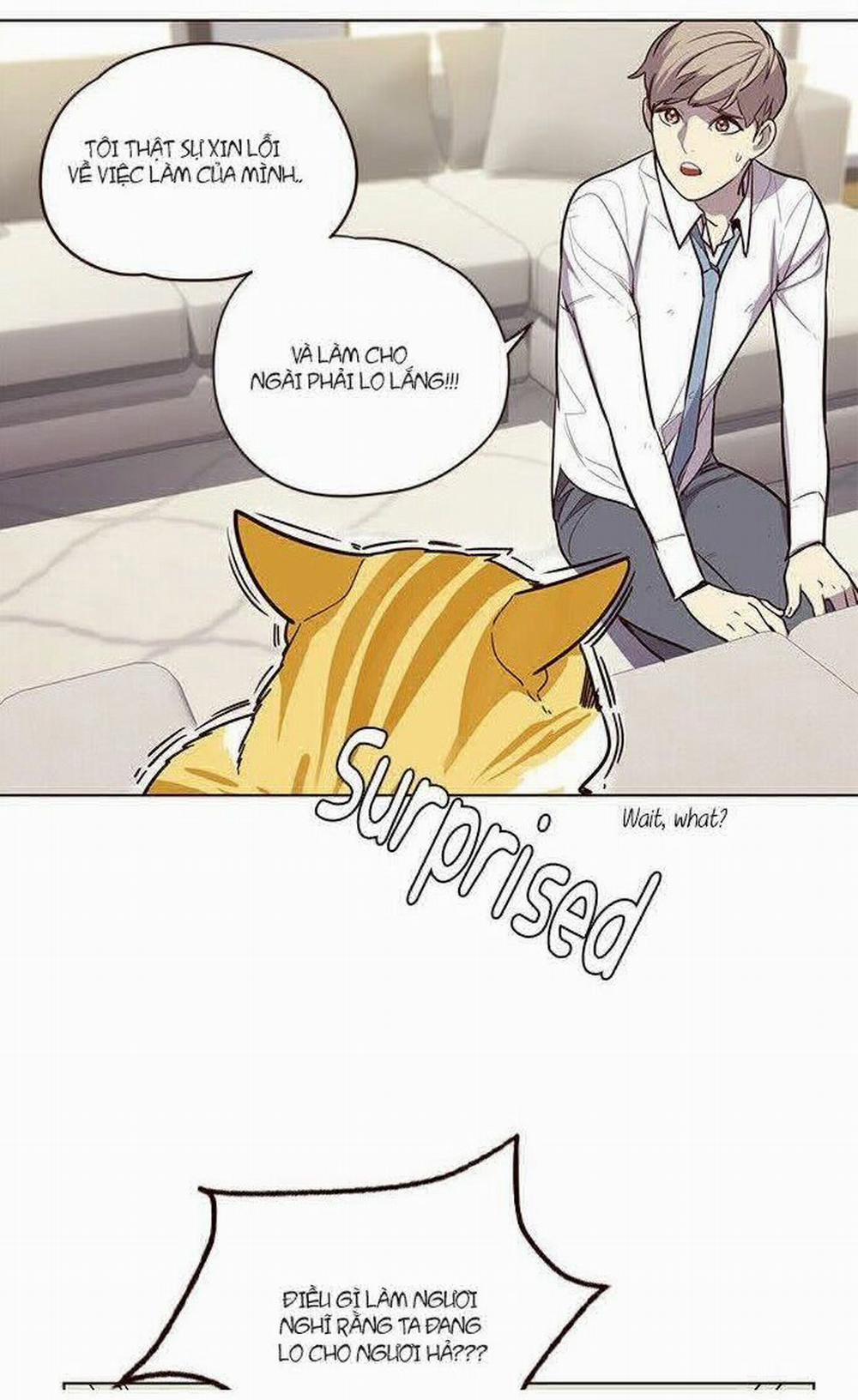 Hóa Thân Thành Mèo 6 trang 16