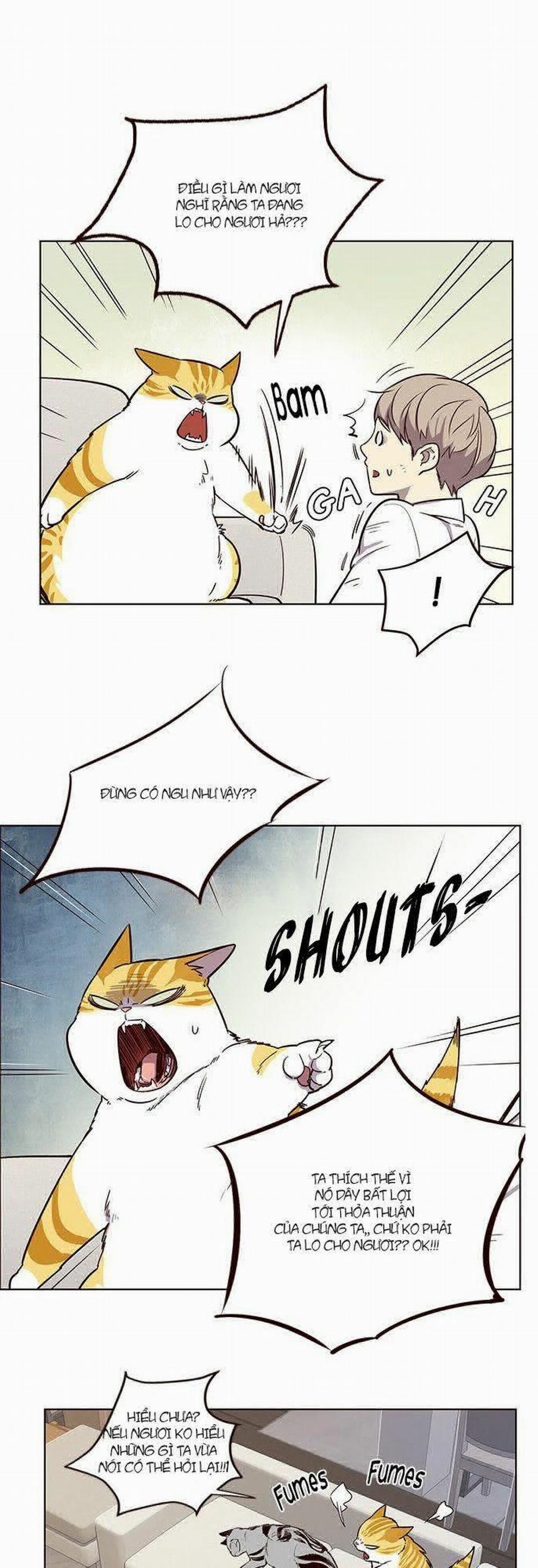 Hóa Thân Thành Mèo 6 trang 17