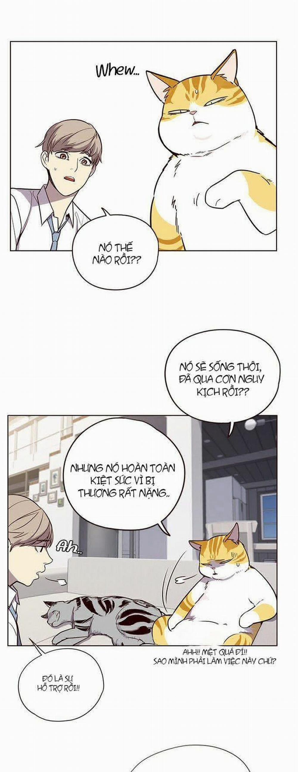 Hóa Thân Thành Mèo 6 trang 2