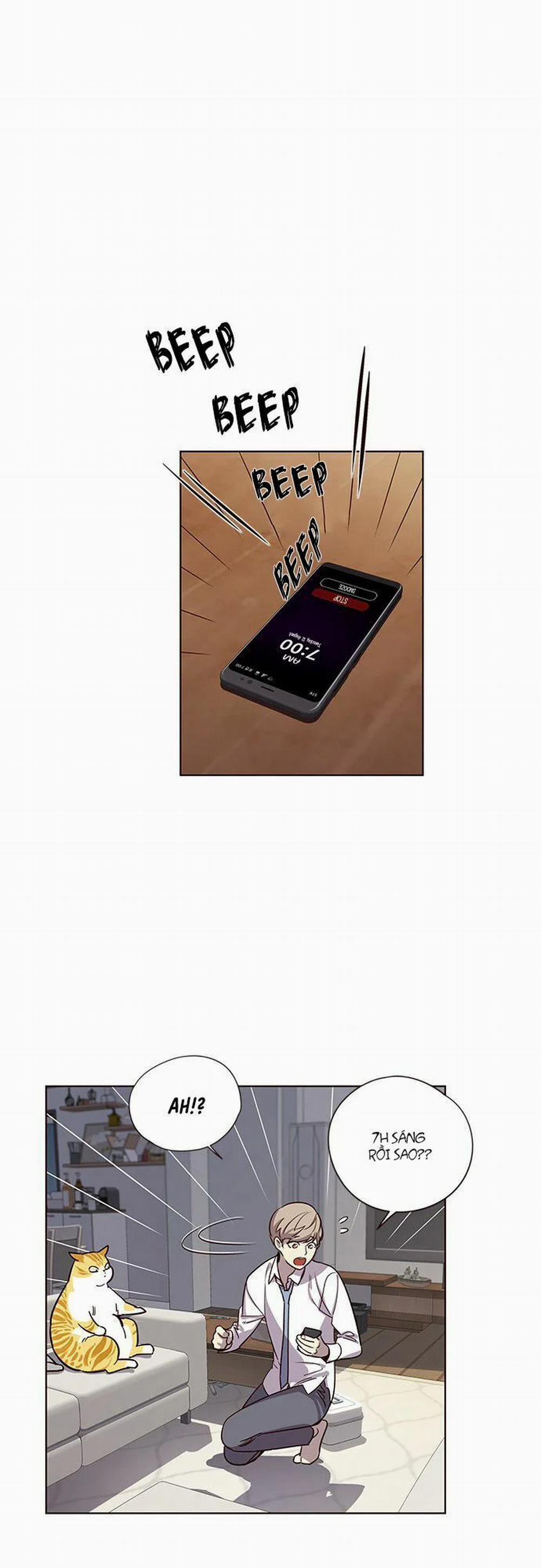 Hóa Thân Thành Mèo 6 trang 20