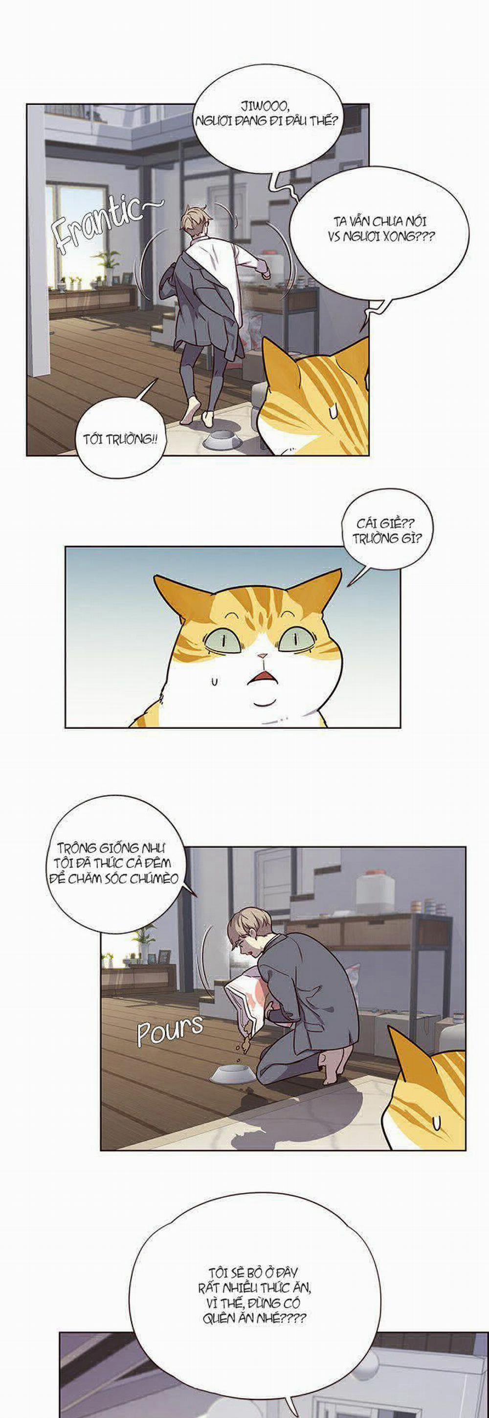 Hóa Thân Thành Mèo 6 trang 21