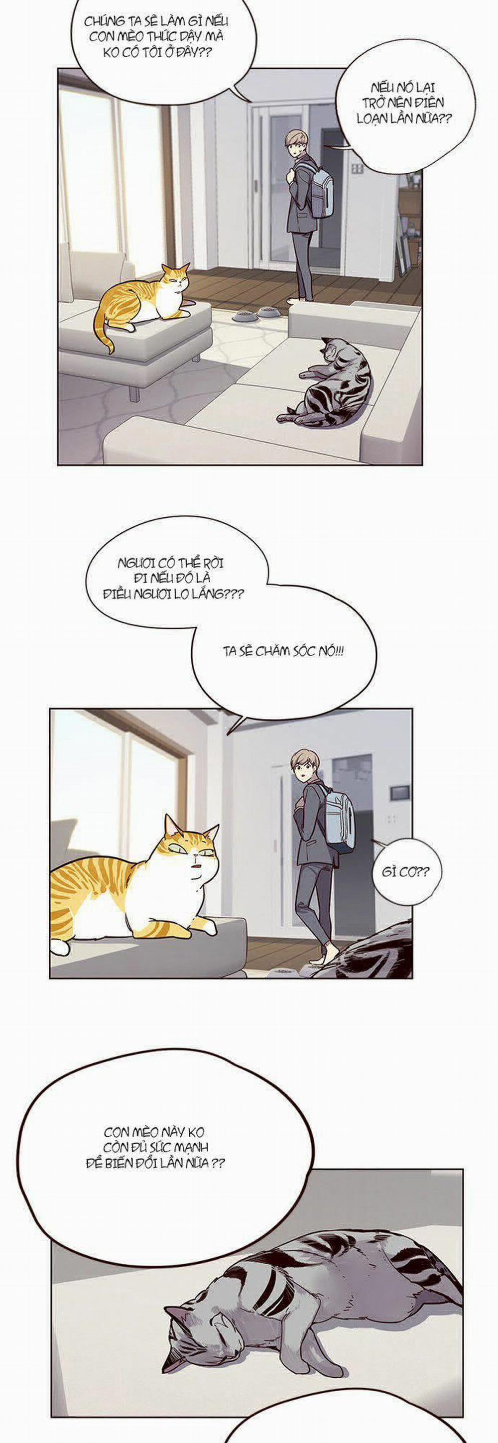 Hóa Thân Thành Mèo 6 trang 23