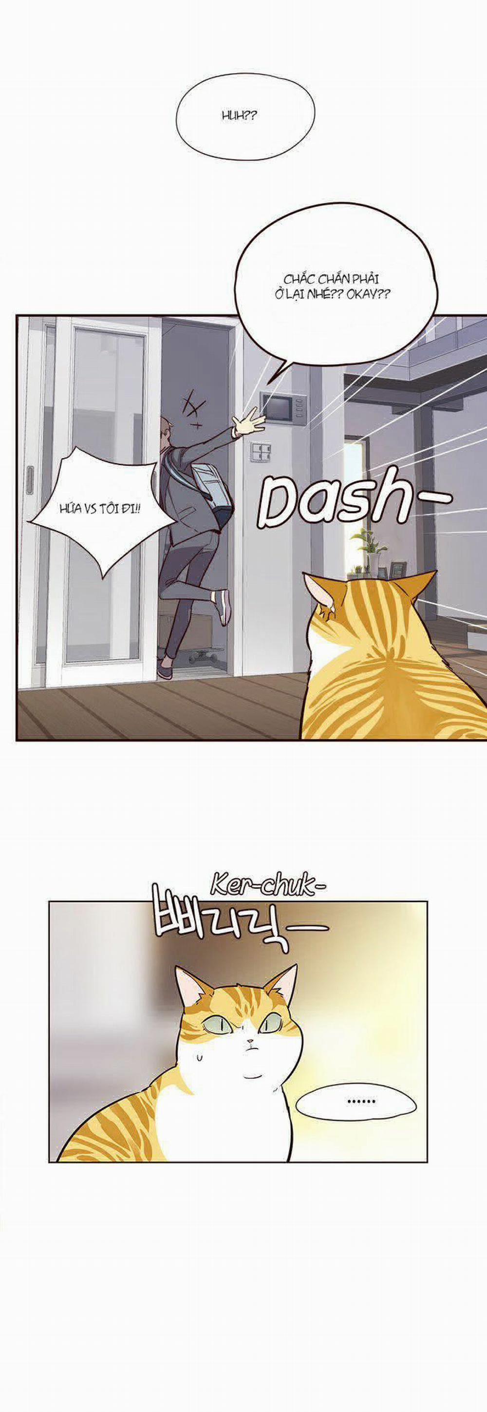 Hóa Thân Thành Mèo 6 trang 28