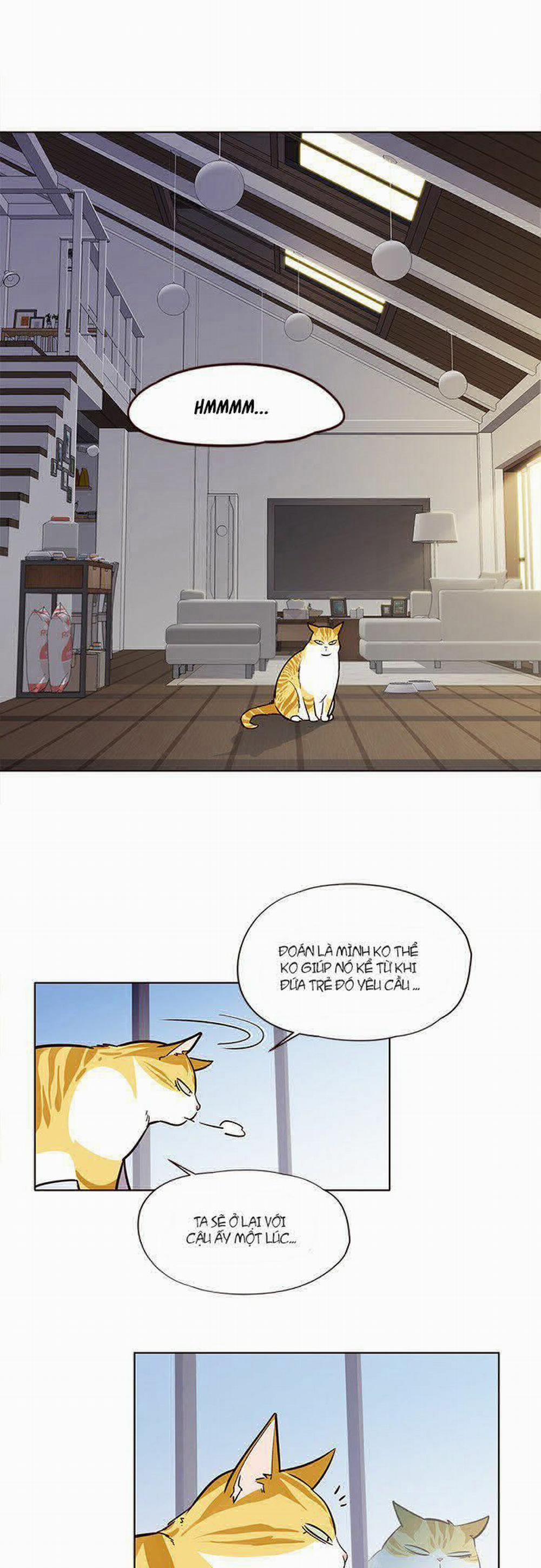 Hóa Thân Thành Mèo 6 trang 29
