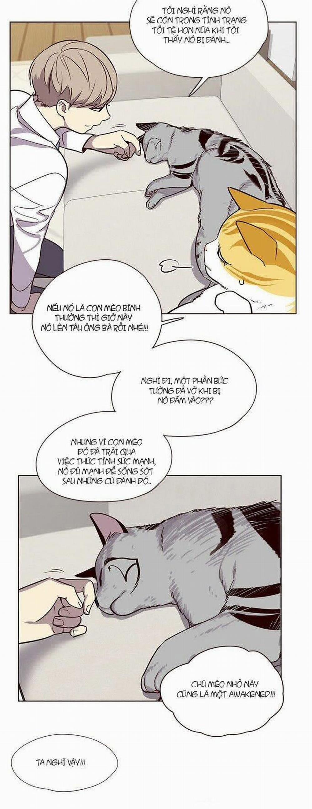 Hóa Thân Thành Mèo 6 trang 3