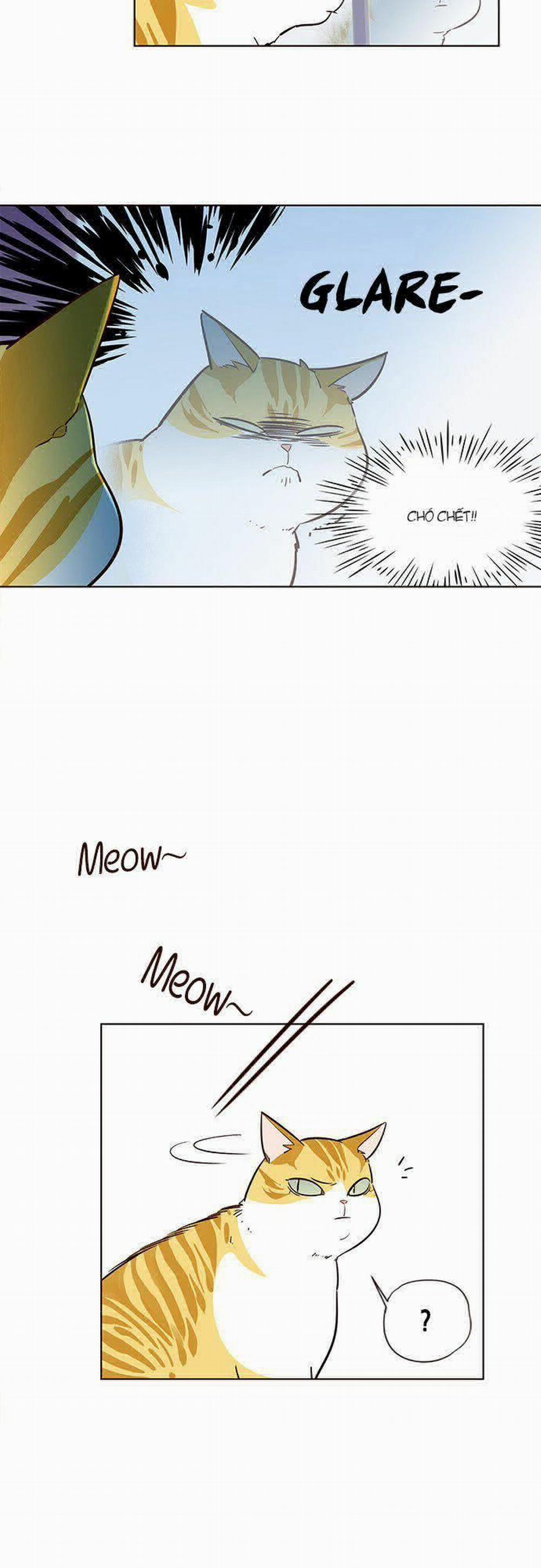 Hóa Thân Thành Mèo 6 trang 30