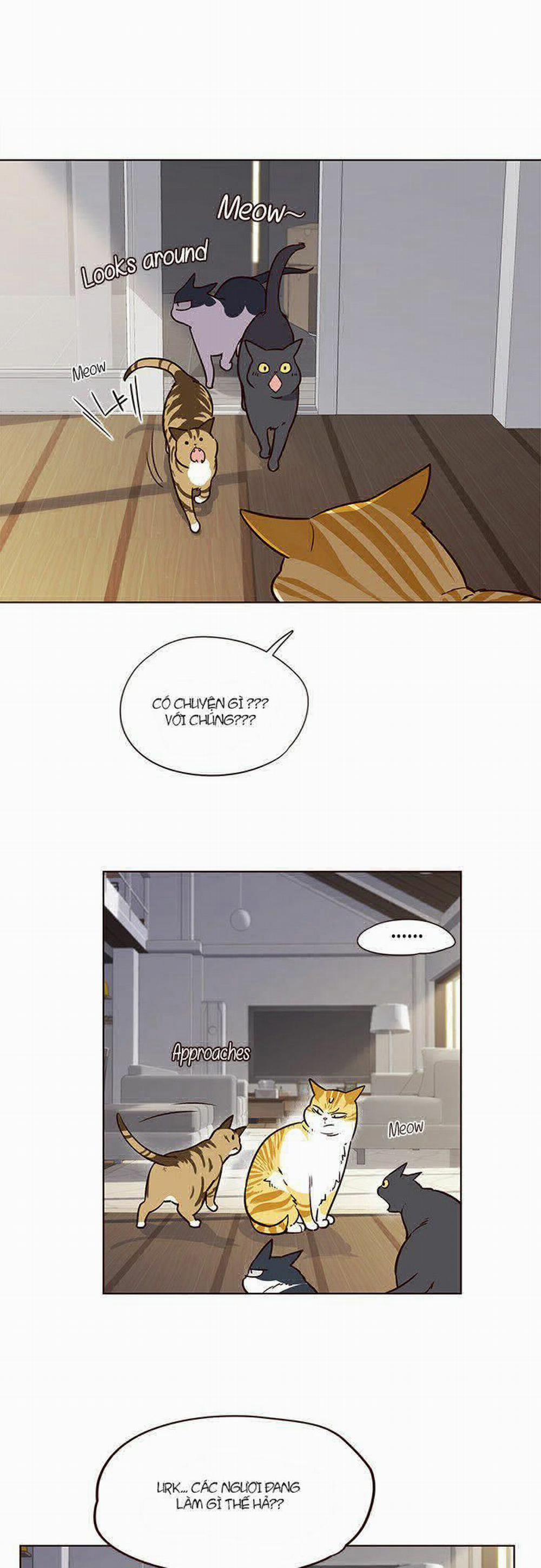 Hóa Thân Thành Mèo 6 trang 31