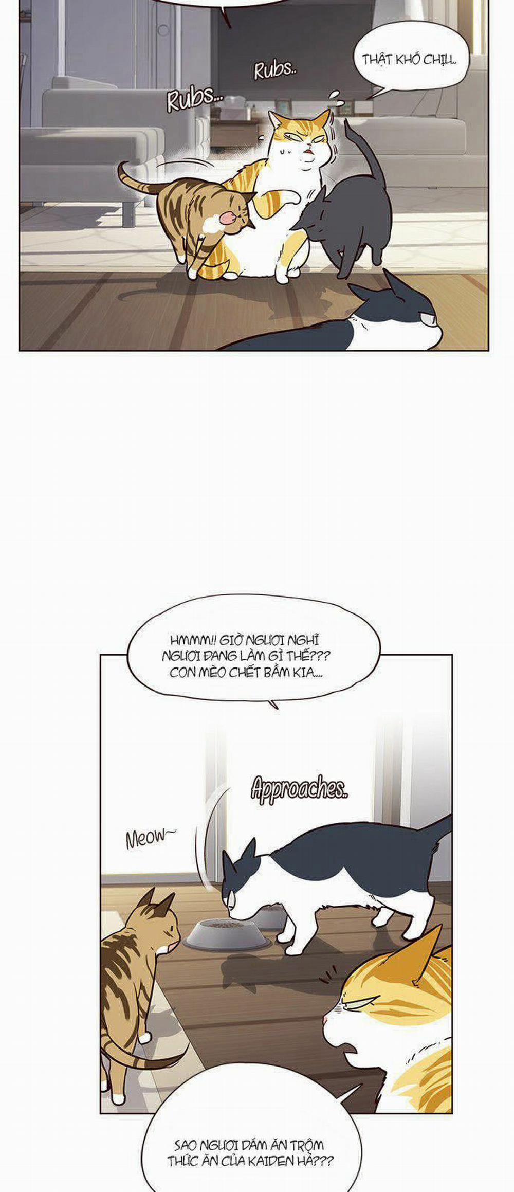 Hóa Thân Thành Mèo 6 trang 32