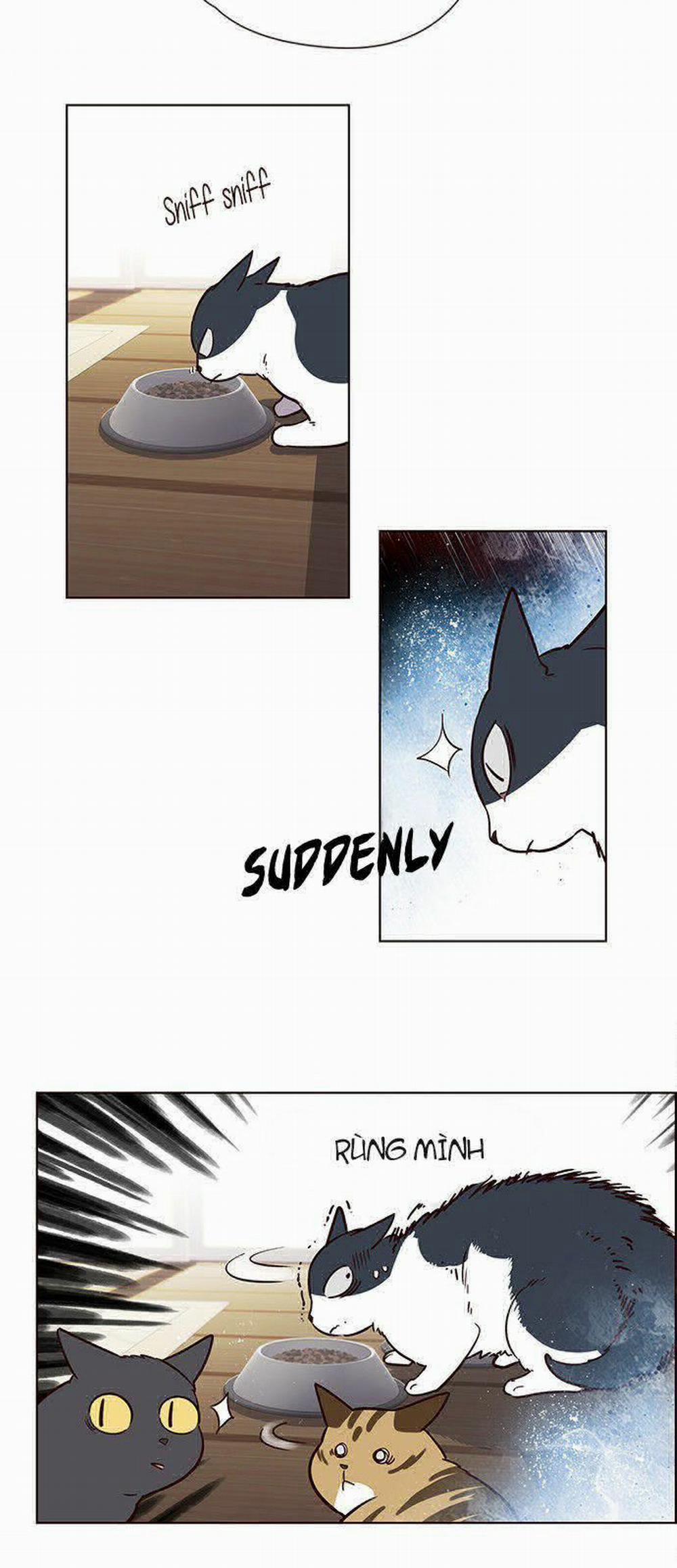 Hóa Thân Thành Mèo 6 trang 33