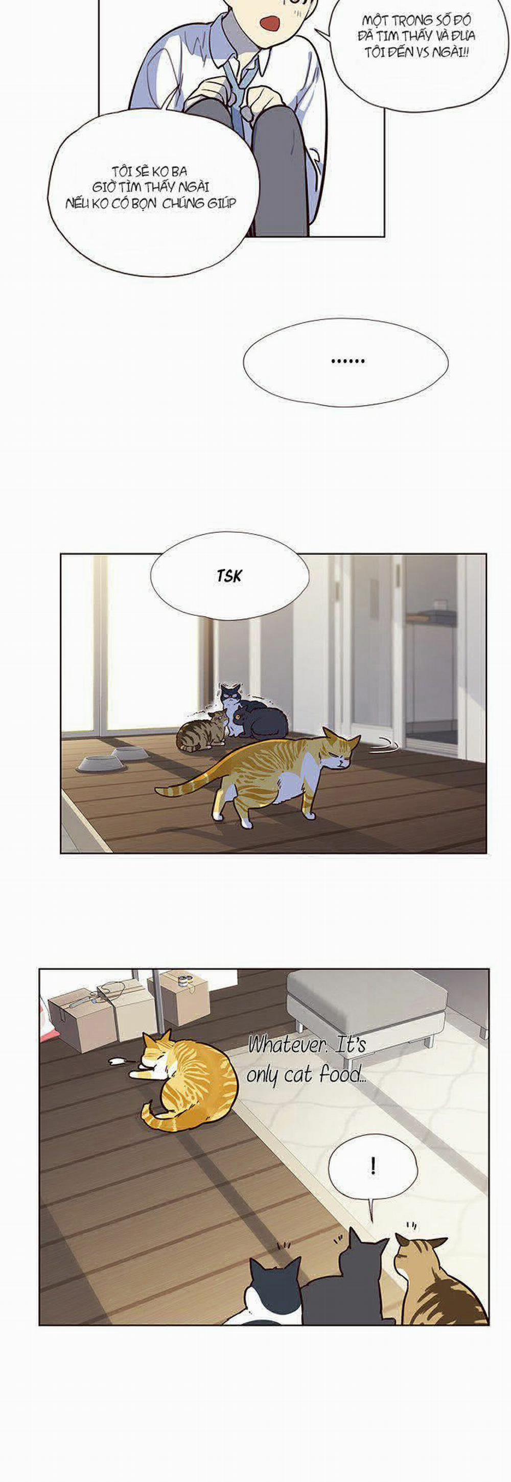 Hóa Thân Thành Mèo 6 trang 36