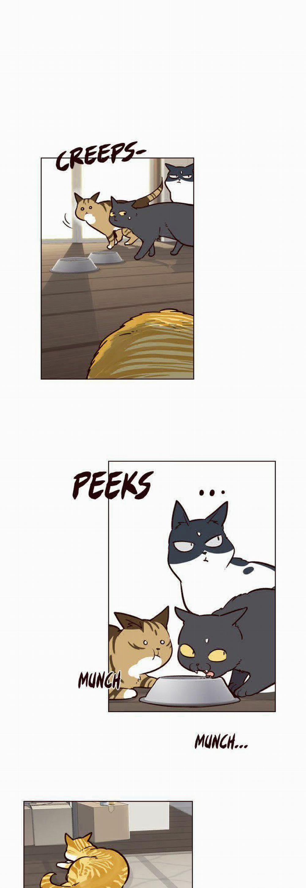 Hóa Thân Thành Mèo 6 trang 37