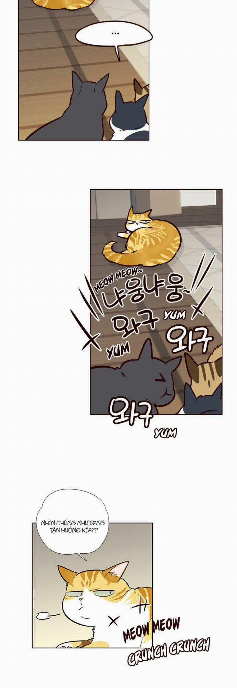 Hóa Thân Thành Mèo 6 trang 38