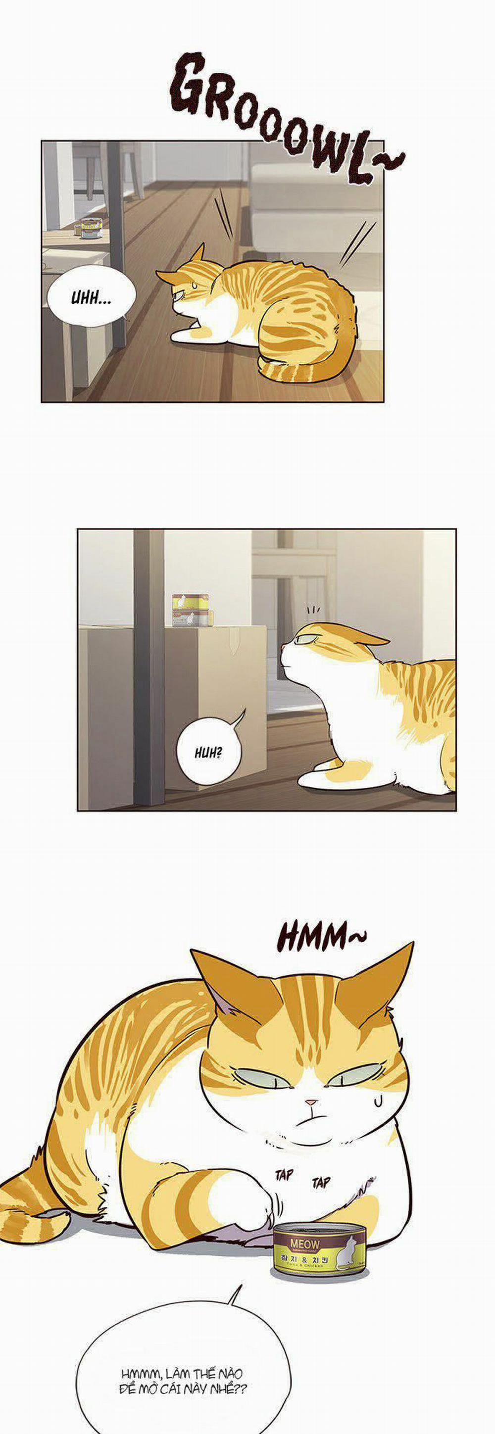 Hóa Thân Thành Mèo 6 trang 39