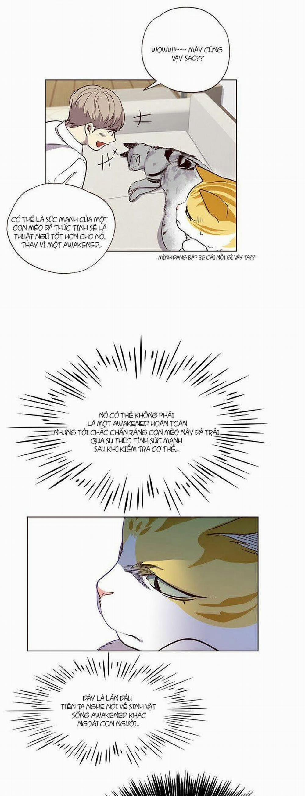 Hóa Thân Thành Mèo 6 trang 4