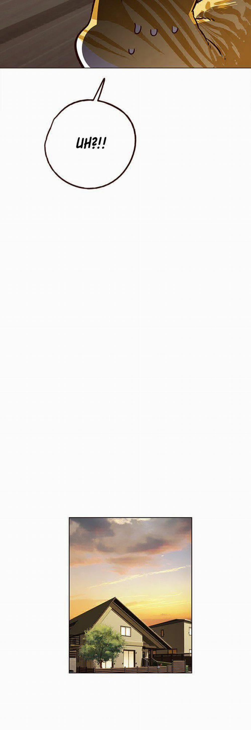 Hóa Thân Thành Mèo 6 trang 42